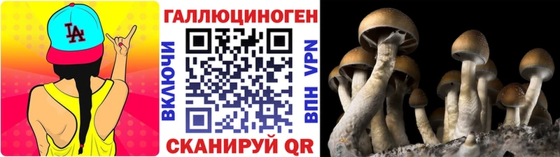 закладки  Бирюч  Галлюциногенные грибы GOLDEN TEACHER 