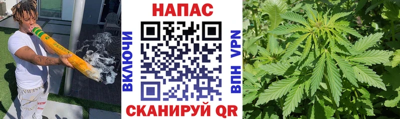 Шишки марихуана OG Kush Бирюч